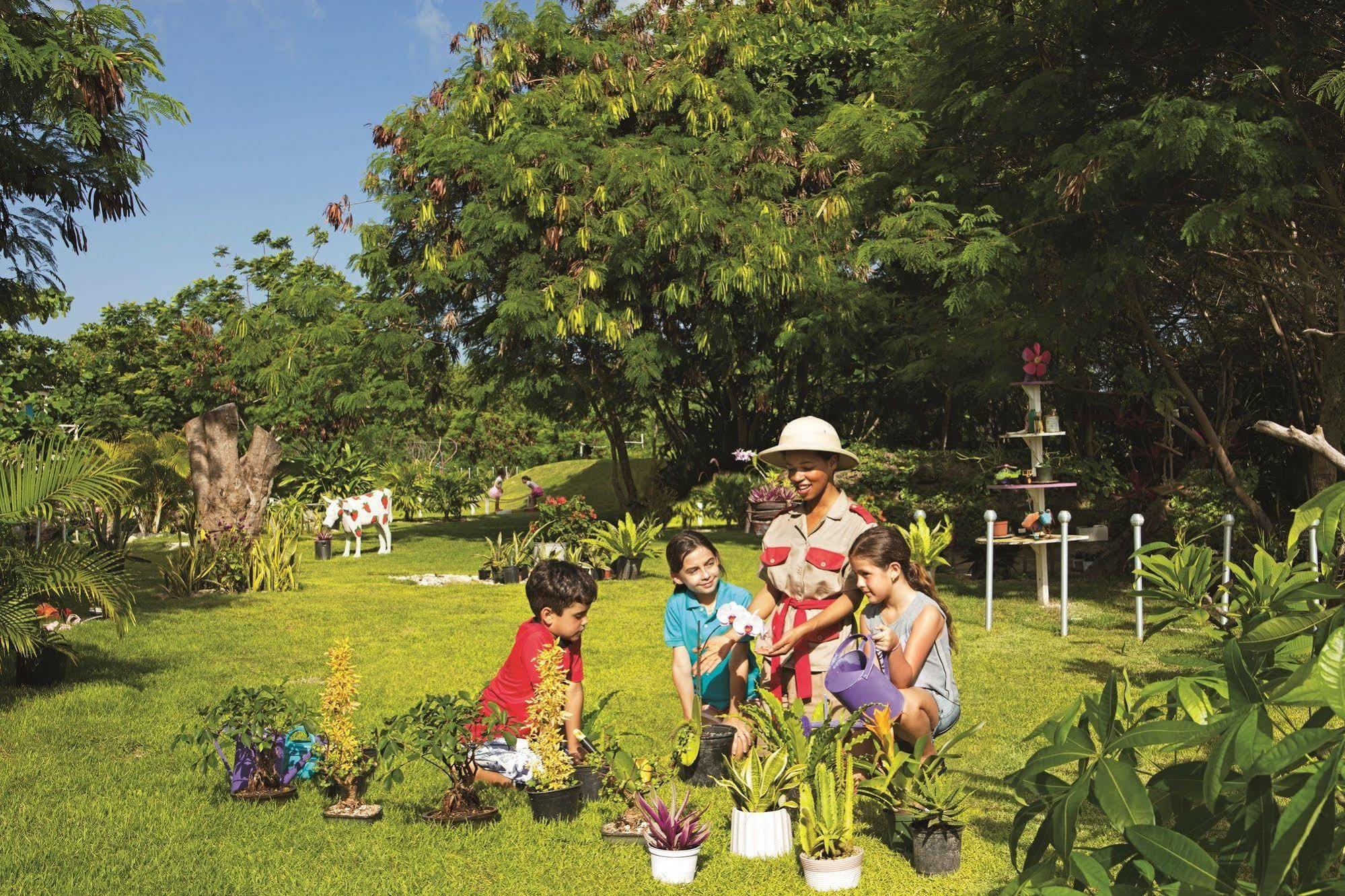 Now Garden بونتا كانا المظهر الخارجي الصورة